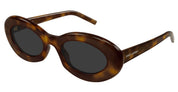 Ottica Mondello Roma - Saint Laurent - SL 594-009 - SL 594-009 - HAVANA - Acetate - shape Oval - Havana - EYEWEAR - SUNGLASSES - Donna,Women - lens Grey - Made In Italy