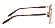 Ottica Mondello Roma - Akoni - AKS-522B-50 - THEMIS - 12K GOLD / HAVANA - Acetate, titanium - shape  - havana, gold - EYEWEAR - SUNGLASSES - Uomo,Men - lens  - Made In Japan