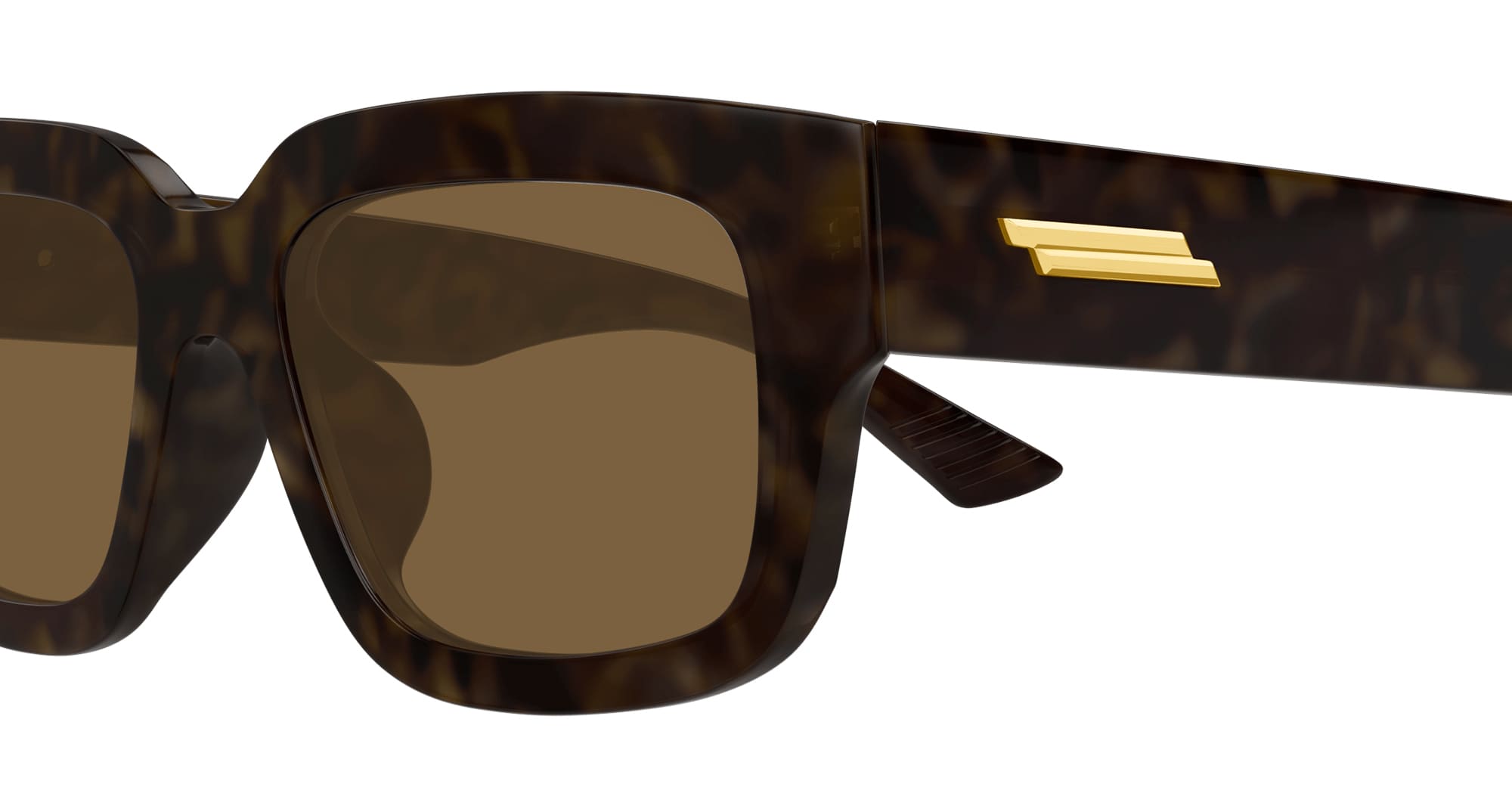 Ottica Mondello Roma - Bottega Veneta - BV1359SA-002 - BV1359SA-002 - HAVANA / ASIAN FIT - Acetate - shape Squared - Havana - EYEWEAR - SUNGLASSES - Unisex,Uomo,Donna,Women,Men - lens Brown - Made In Japan