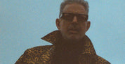 Jeff - argyle
