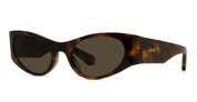 Ottica Mondello Roma - Loewe - LW40196U5352E - SIGNATURE DARK HAVANA CAT-EYE SUNGLASSES - Acetate - shape Cat-eye - Havana - EYEWEAR - SUNGLASSES - Donna,Women - lens Brown - Made In Italy